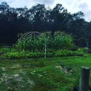 Meet your Posher, Philip